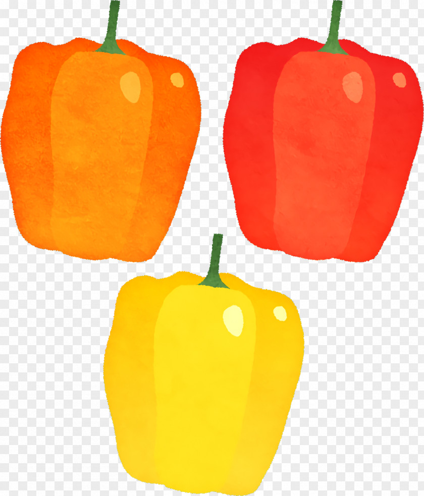 Orange PNG