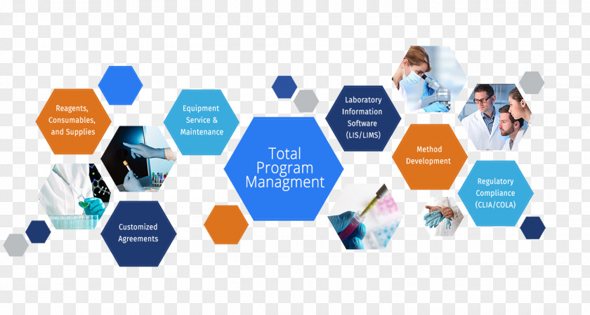 Partnering Program Management Business Laboratory Information System Project PNG