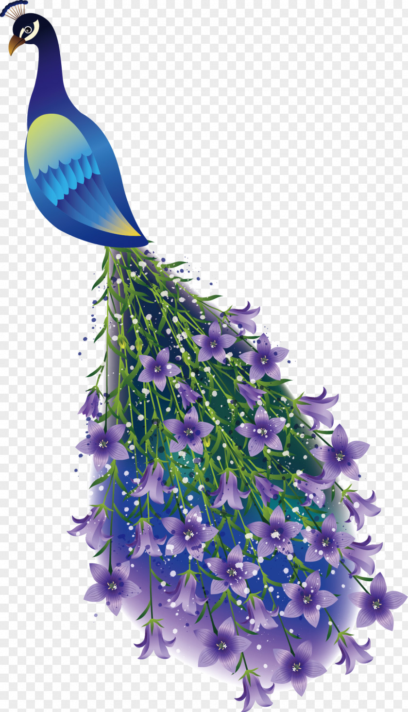 Peacock Peafowl Branch Drawing Illustration PNG