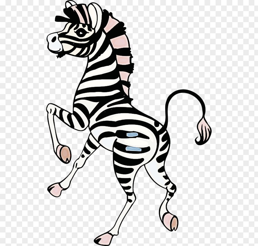 Zebra White Line Art Wildlife Head PNG