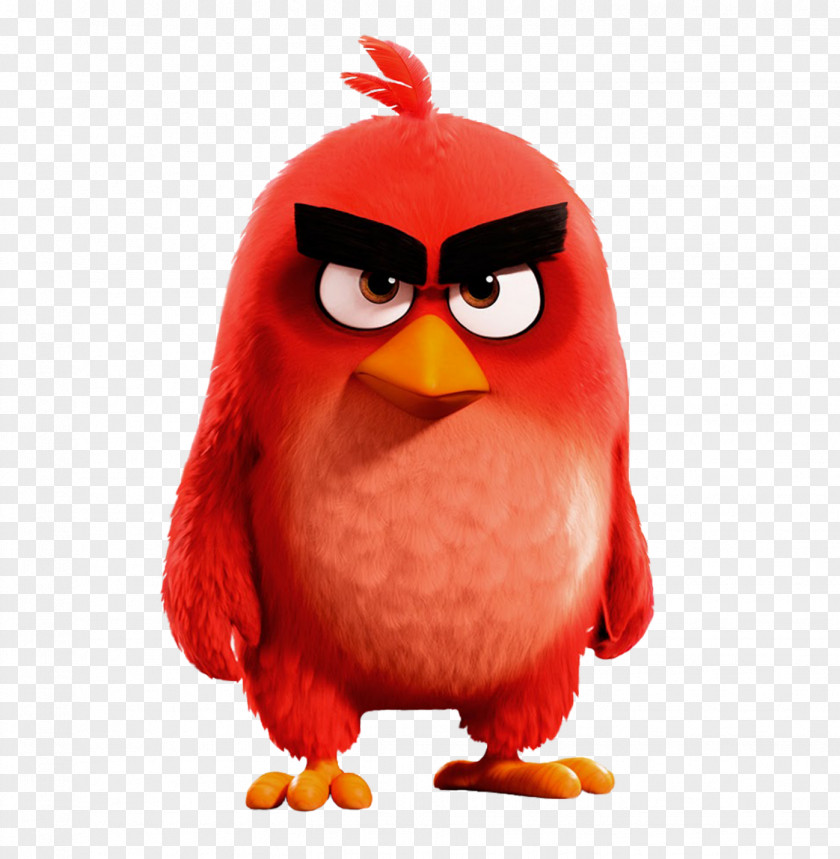 Bird Angry Birds YouTube Drawing Desktop Wallpaper PNG