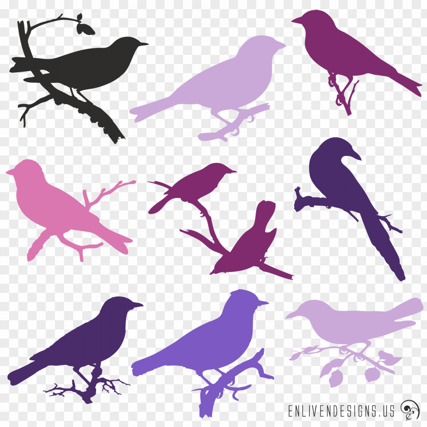 Birds Silhouette Bird Purple Violet Lavender PNG