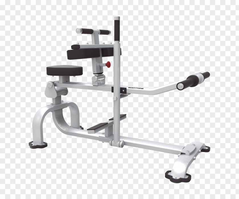 Calf Raises Bench Gastrocnemius Muscle Evolution PNG