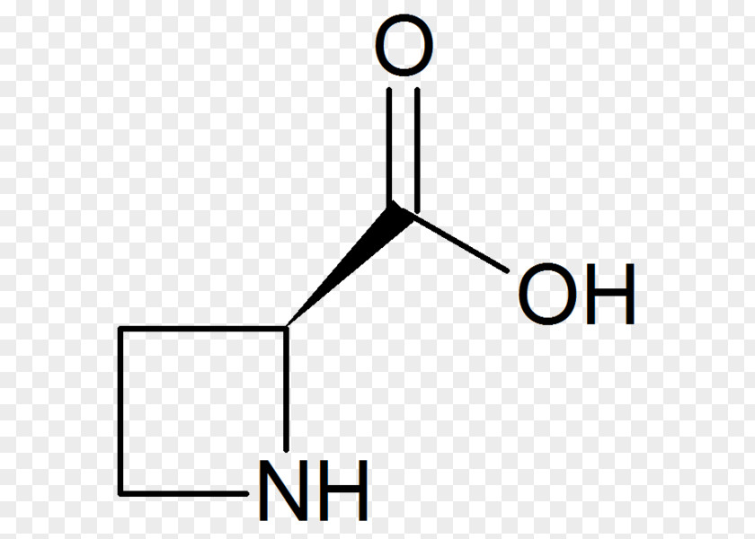 Elrond Amino Acid Homocysteine Cystine Bicarbonate PNG