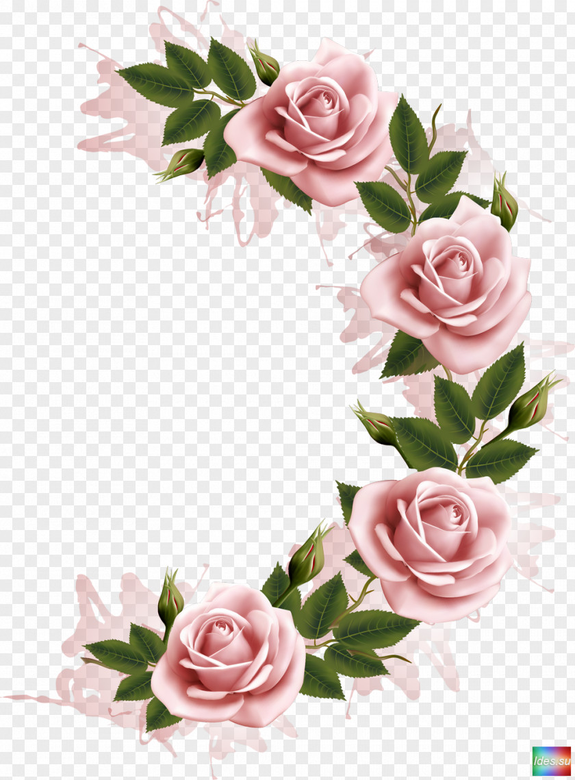 Flower Frame Stock Photography Clip Art PNG