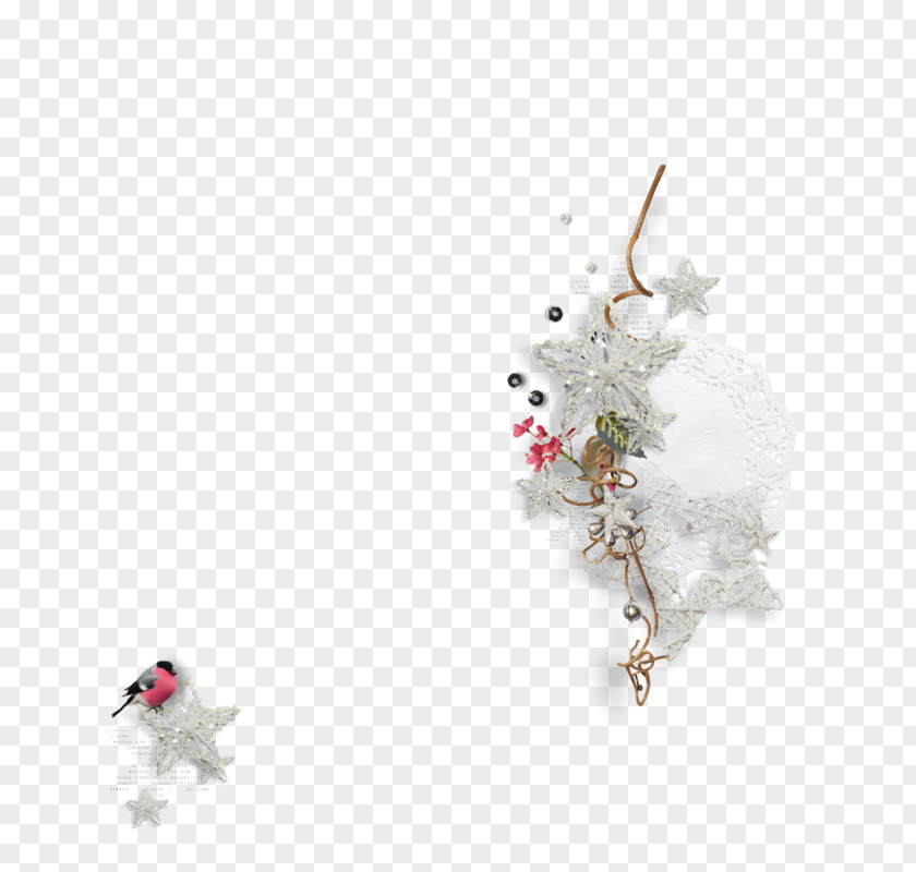 Flower Plant Christmas PNG