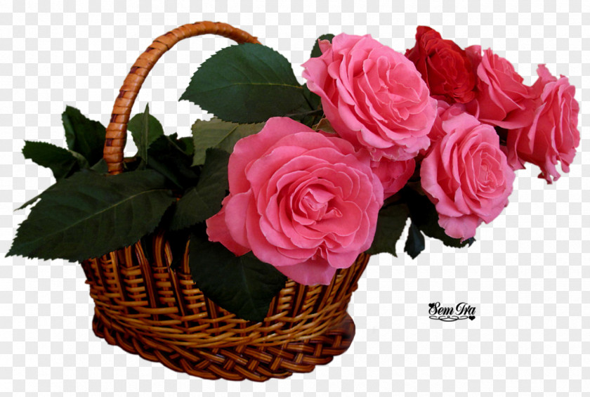 Glamour Pink Flowers Rose High-definition Television Basket PNG