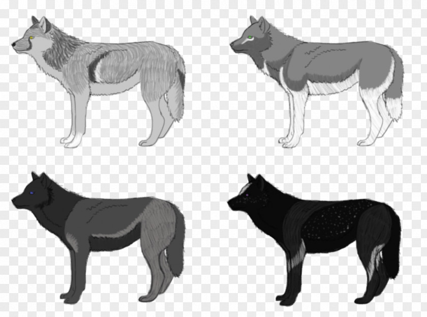 K9 Dog Breed Drawing Fauna /m/02csf PNG