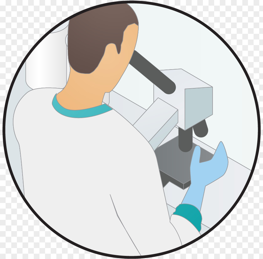 Scientific Instrument Hand Hospital Cartoon PNG