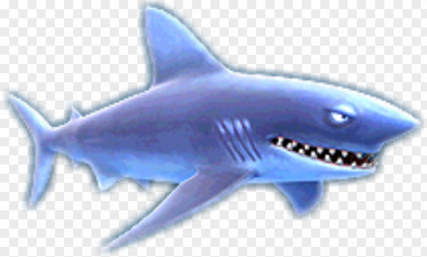 Sharks Shark Jaws Hungry Evolution Isurus Oxyrinchus Longfin Mako PNG