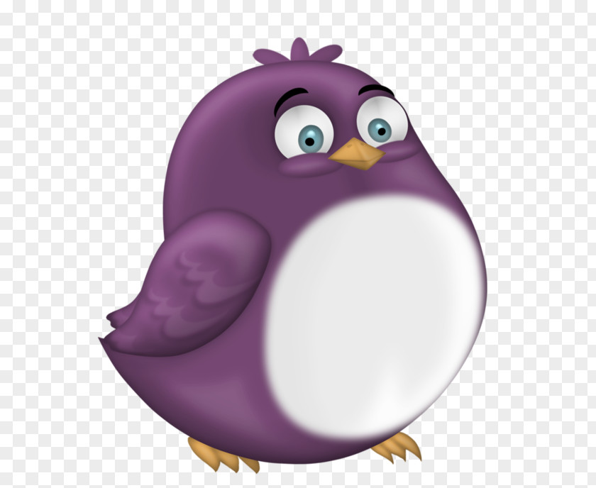 Bird Penguin Parrot Owl Drawing PNG