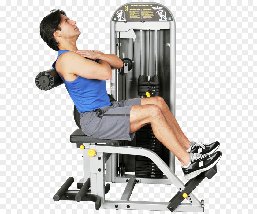 Exercise Machine Fitness Centre Equipment Hyperextension PNG