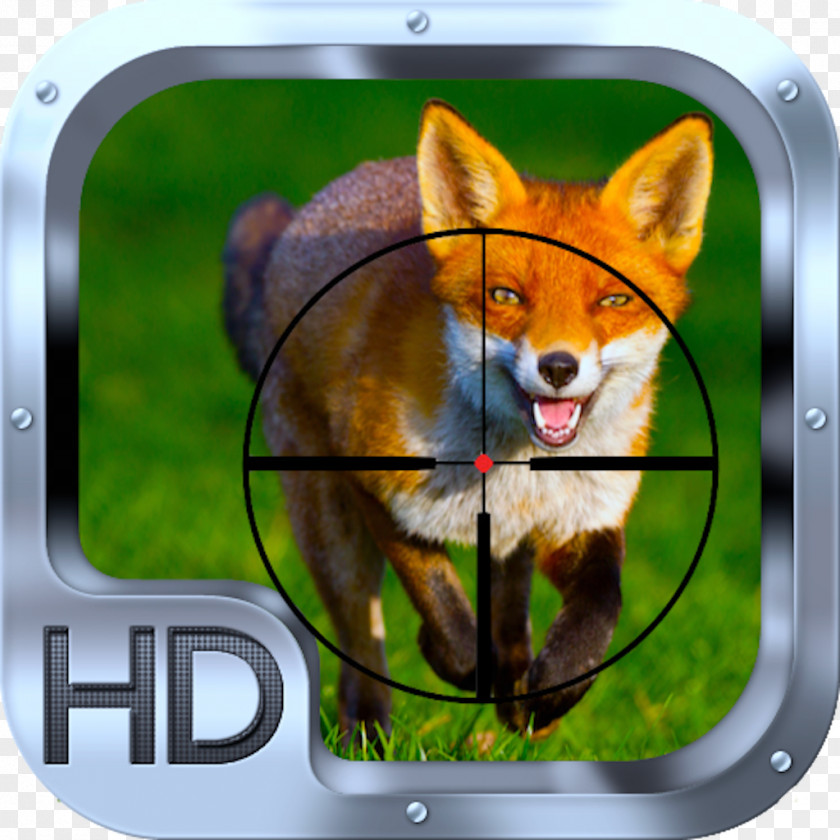Fox Red Dog Animal Desktop Wallpaper PNG