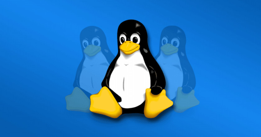 Linux Operating Systems GNU/Linux Computer Software Windows Subsystem For PNG