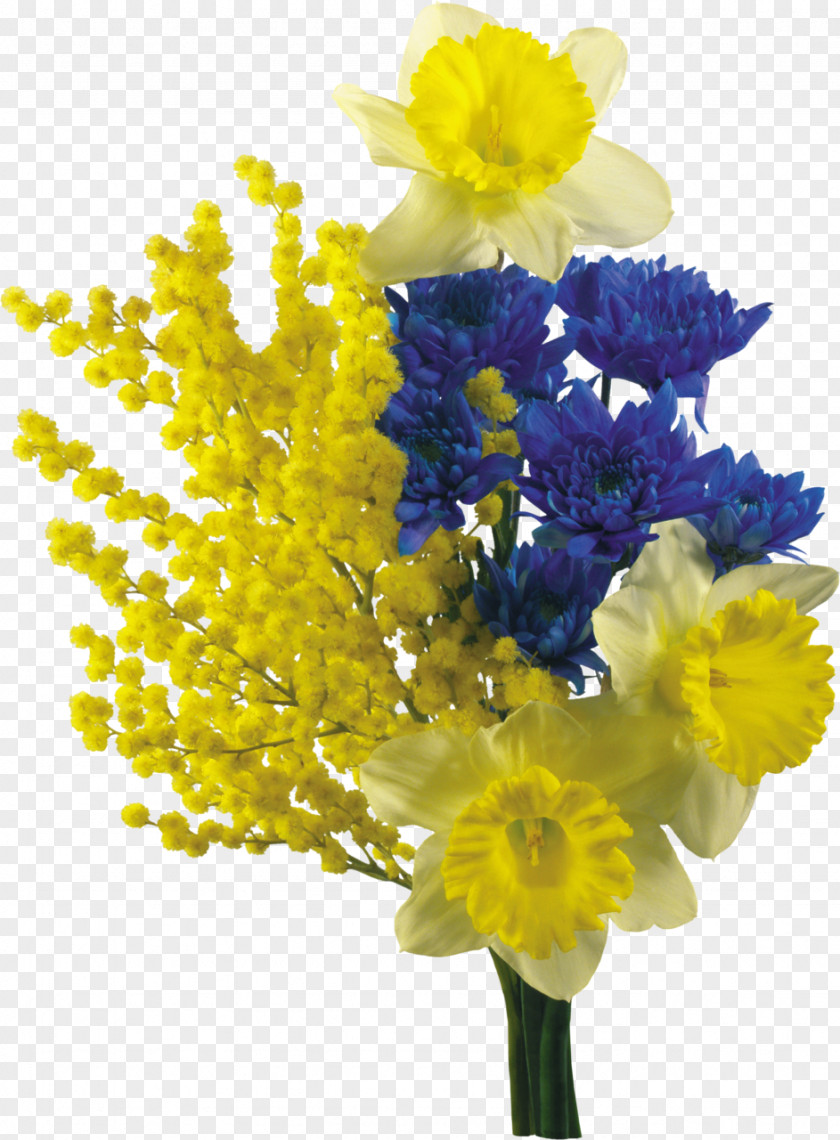Mimosa Salad Flower Bouquet Sensitive Plant Clip Art PNG