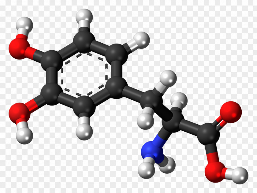 Tyrosine Ball-and-stick Model Levodopa Norepinephrine Molecule PNG