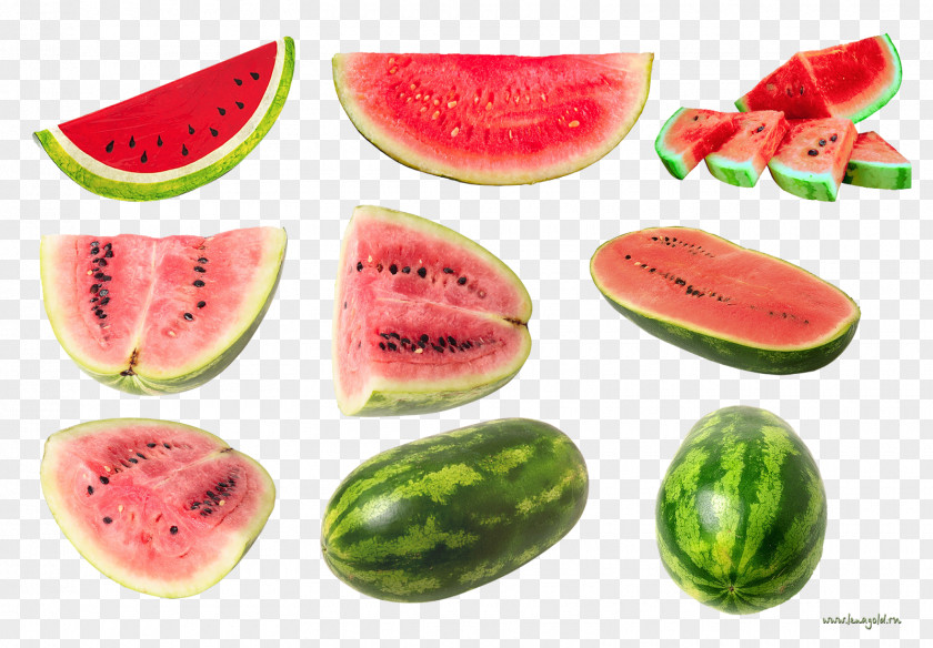Watermelon Citrullus Lanatus Melon Clip Art PNG