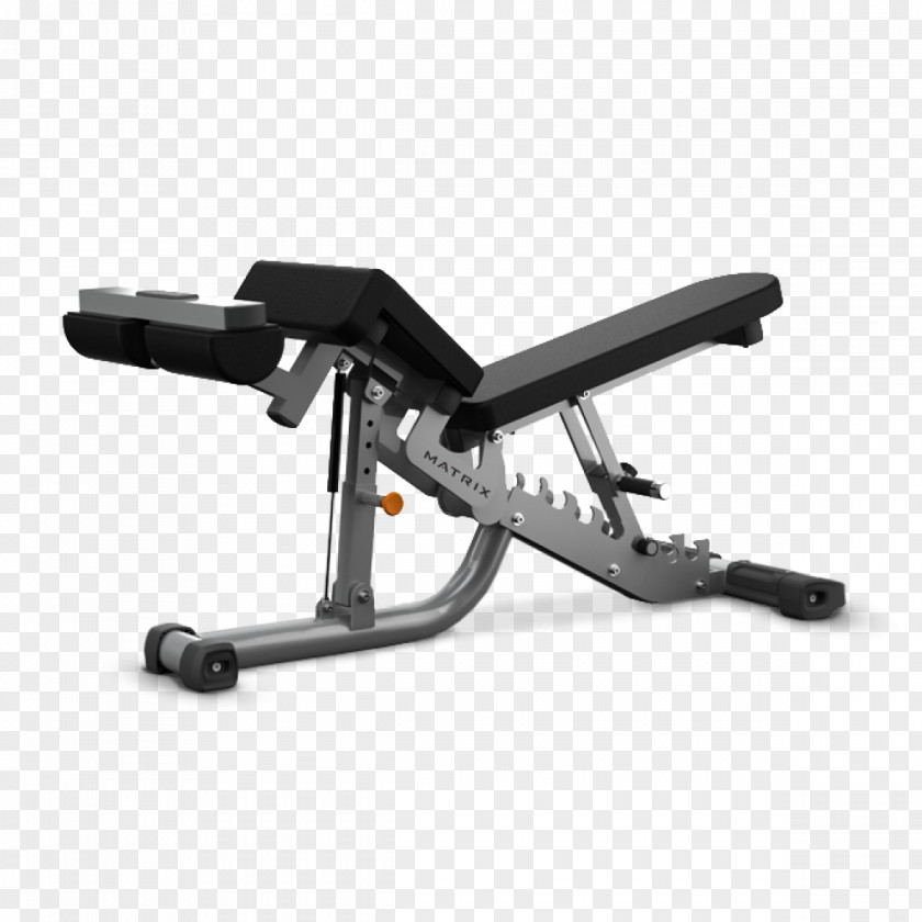 World Gym Bench Exercise Machine Physical Fitness Weight Training Bodybuilding PNG