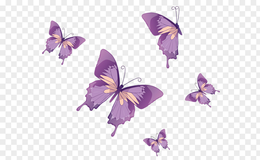 Butterfly Watercolor Monarch Clip Art PNG