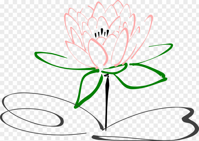 Exquisite Lotus Flower Drawing Clip Art PNG