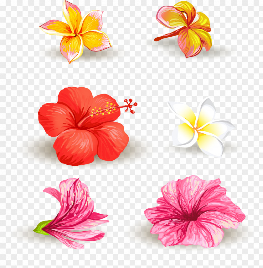 Vector Hand-painted Flowers PNG