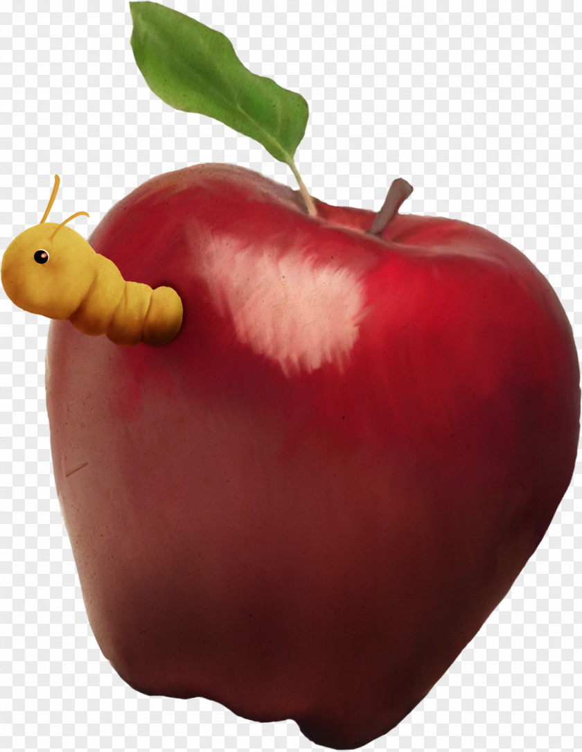 Apple Moth Food Clip Art PNG