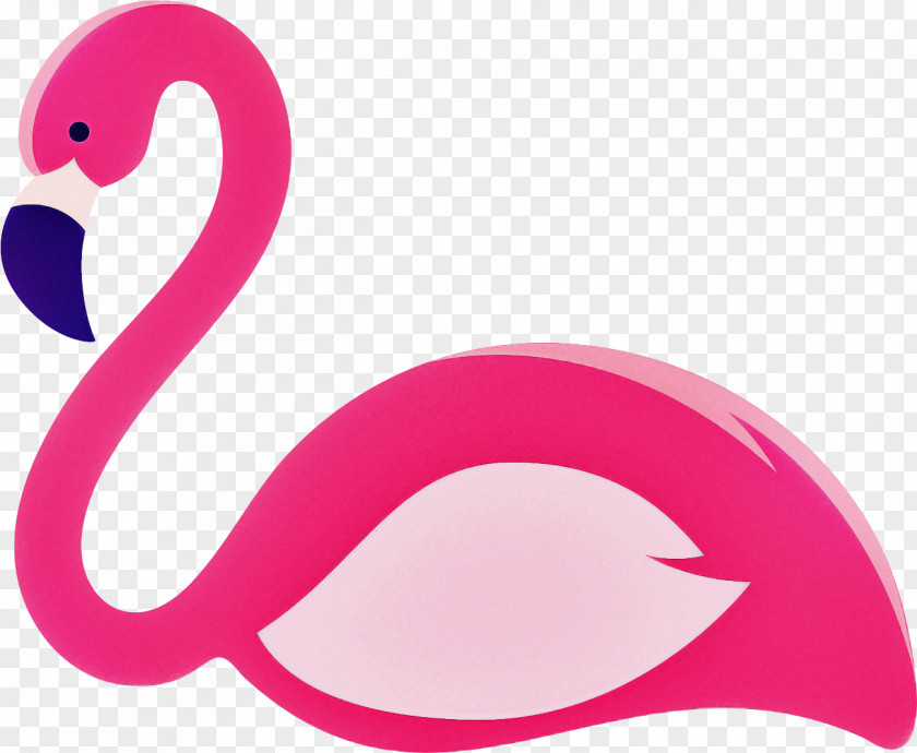 Birds Water Bird Pink M Meter Science PNG