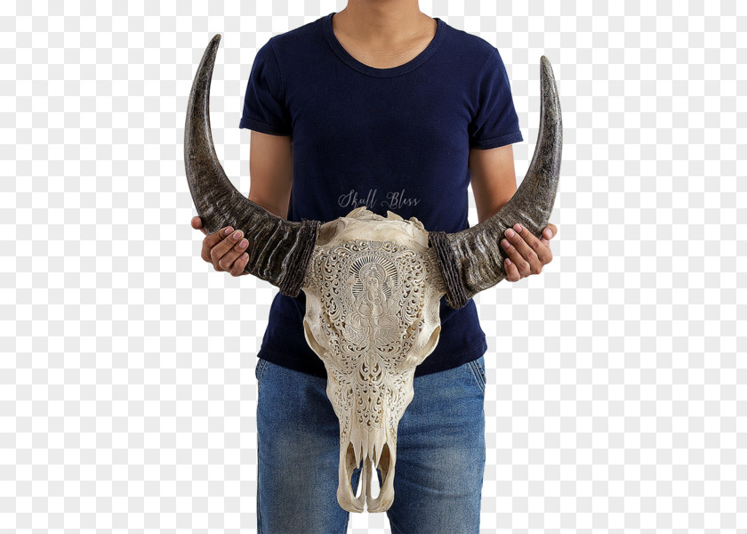 Buffalo Skull Ganesha Deity Horn Cattle Elephantidae PNG