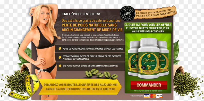 Coffee Green Extract Bean Weight Loss PNG