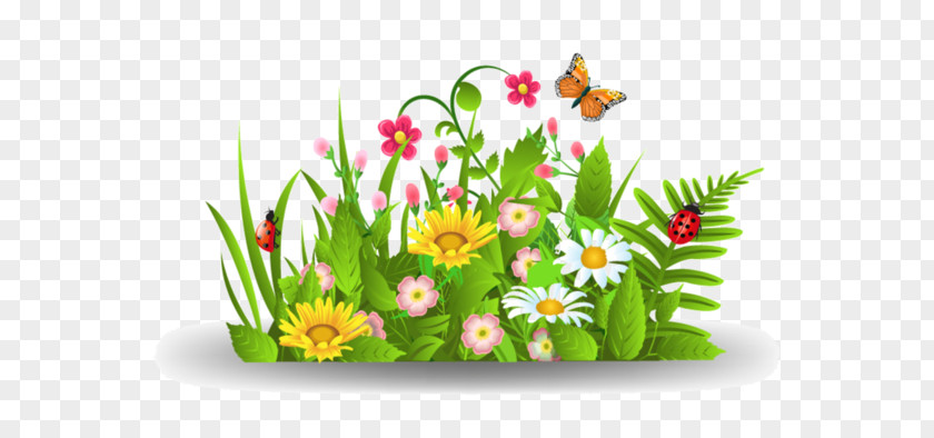 Flower Clip Art PNG