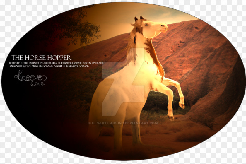 Horse Hound Desktop Wallpaper Stock Photography Computer PNG