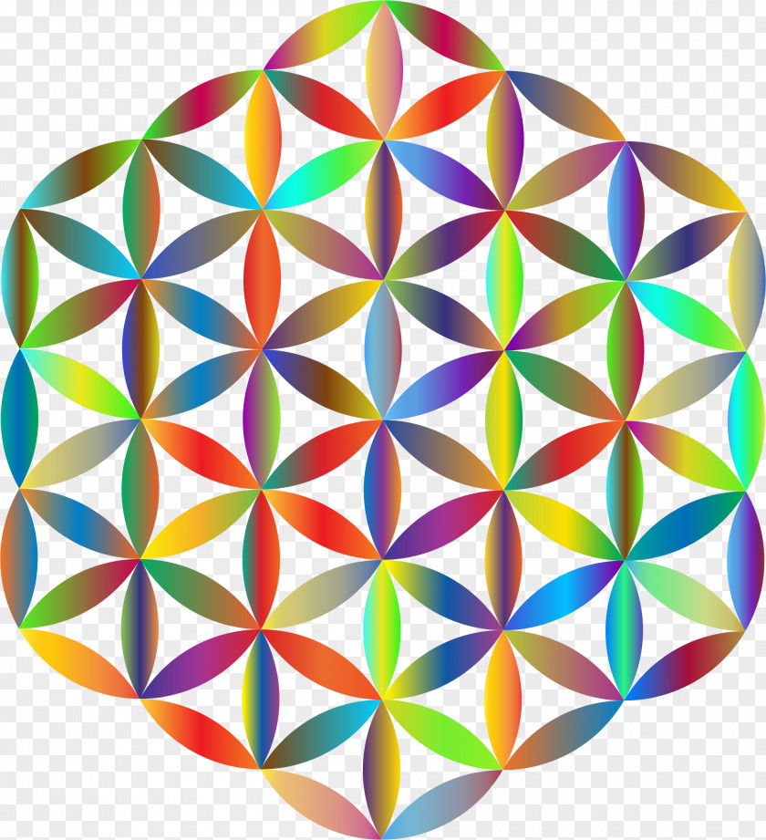 Life Overlapping Circles Grid Sacred Geometry PNG