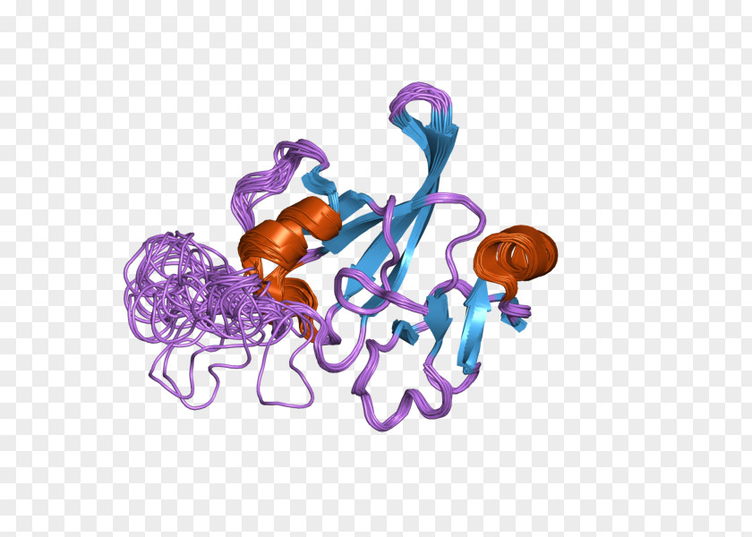 Organism Clip Art PNG