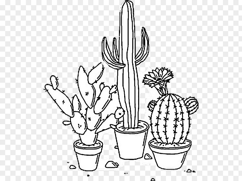 Cactus Flower Drawing Taurus Art Lock Screen PNG