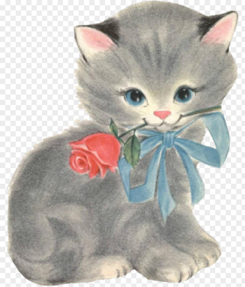 Kitten Whiskers Domestic Short-haired Cat Stuffed Animals & Cuddly Toys PNG
