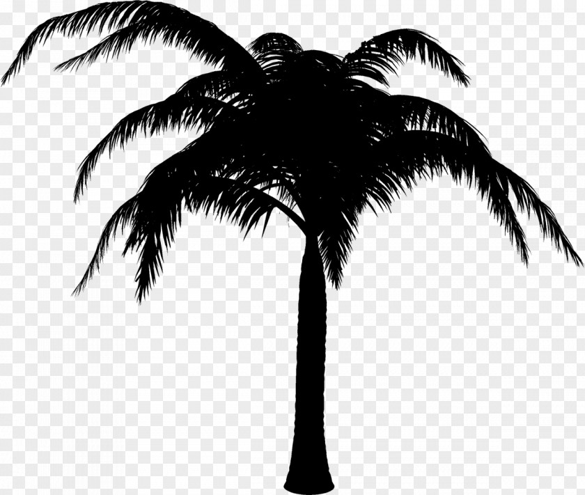 M Silhouette Palm Trees Black & White PNG