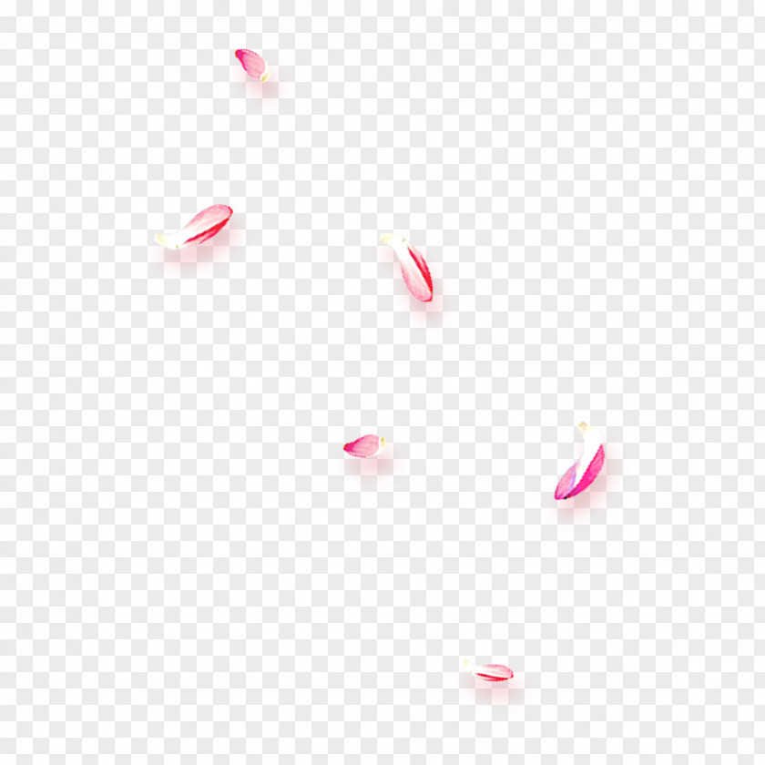 Pink Petals Free Image Desktop Wallpaper Petal Close-up PNG