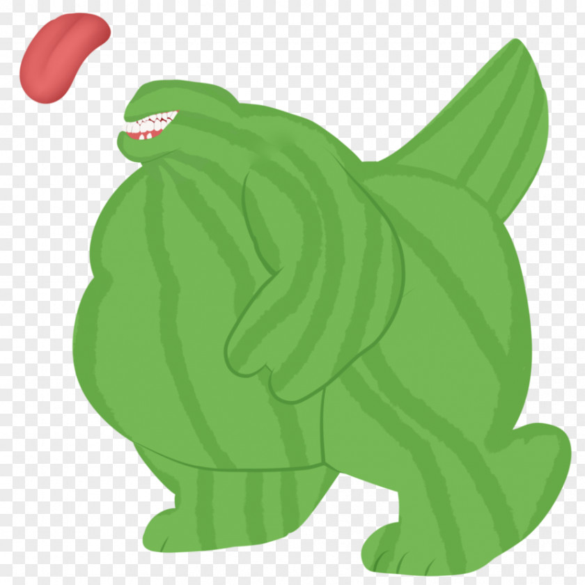Water Melon Tree Frog Cartoon Clip Art Illustration Drawing PNG