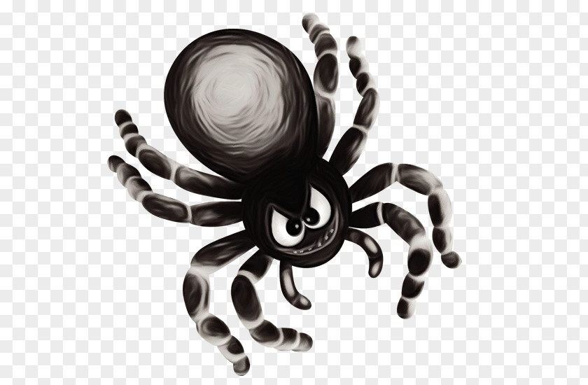 Blackandwhite Arachnid Tarantula Spider Octopus Black-and-white PNG