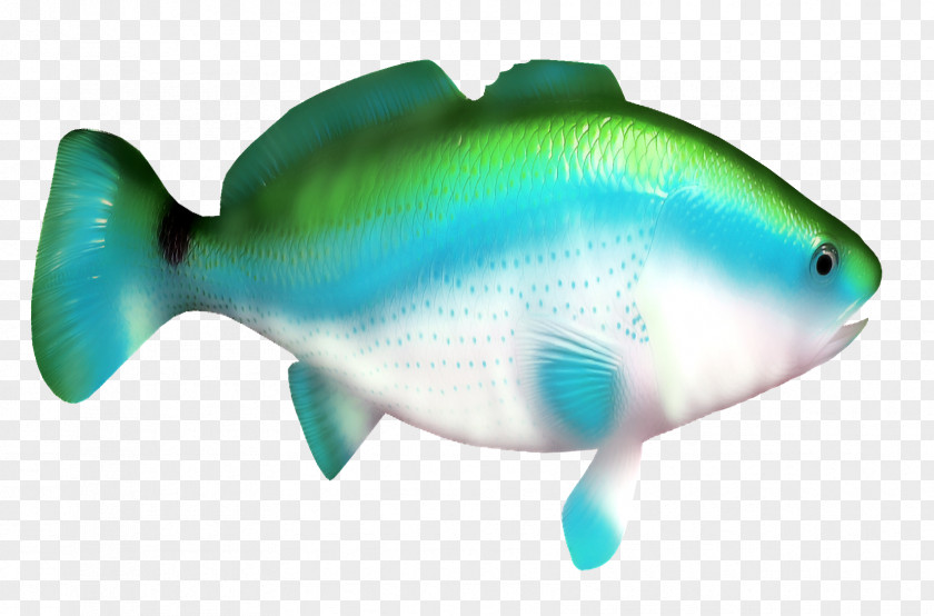 Blue Fish Shark Clip Art PNG