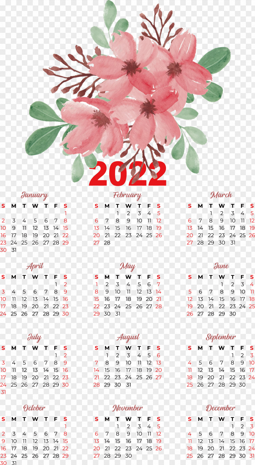 Flower Calendar Petal Meter Plant PNG
