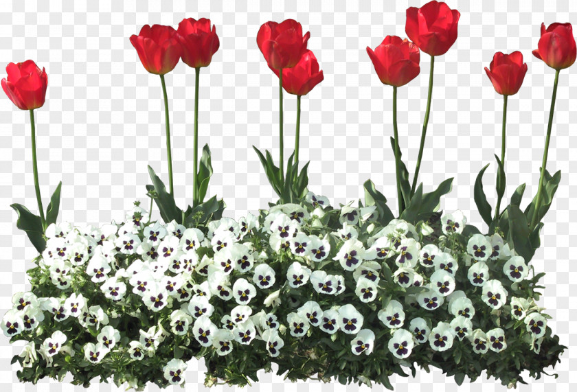 GARDEN Flower PNG