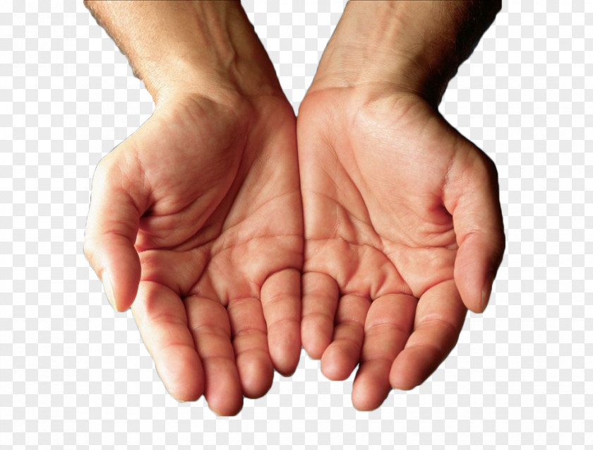 Hold Gestures PNG gestures clipart PNG