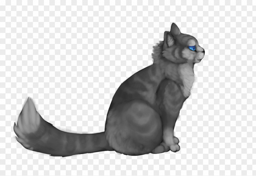 Jayfeather Whiskers Korat Domestic Short-haired Cat Hollyleaf PNG