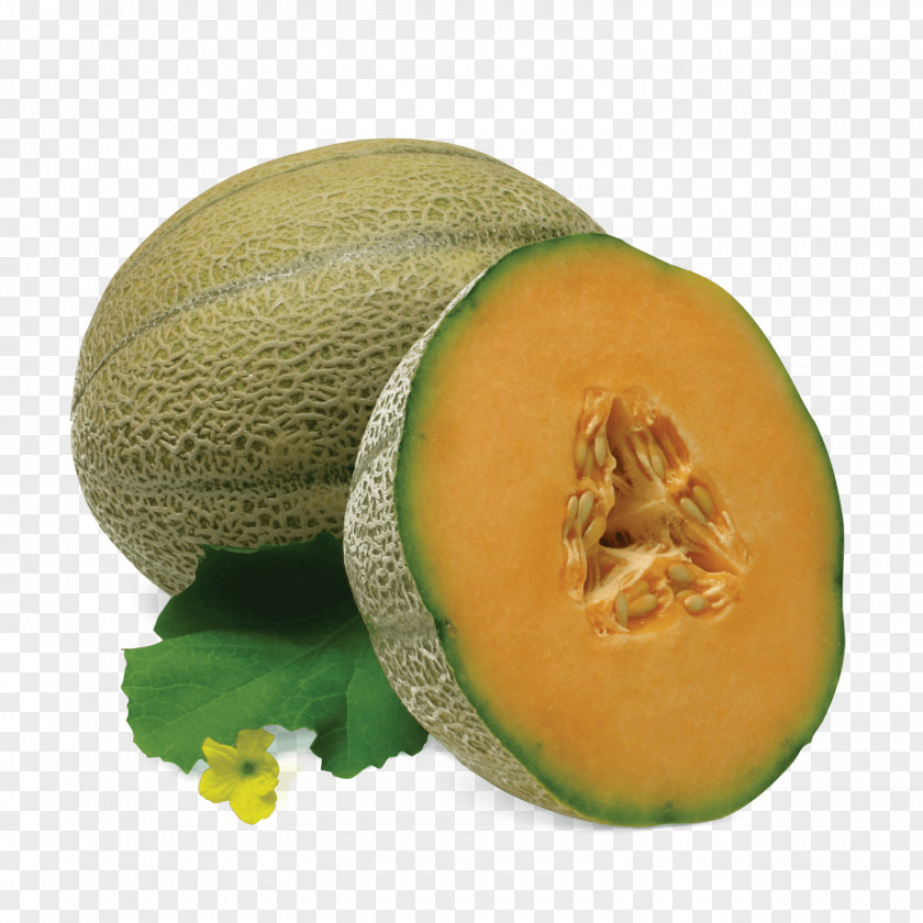 Melon Ambrosia Cantaloupe Fumari, Inc. Gummy Bear Flavor PNG