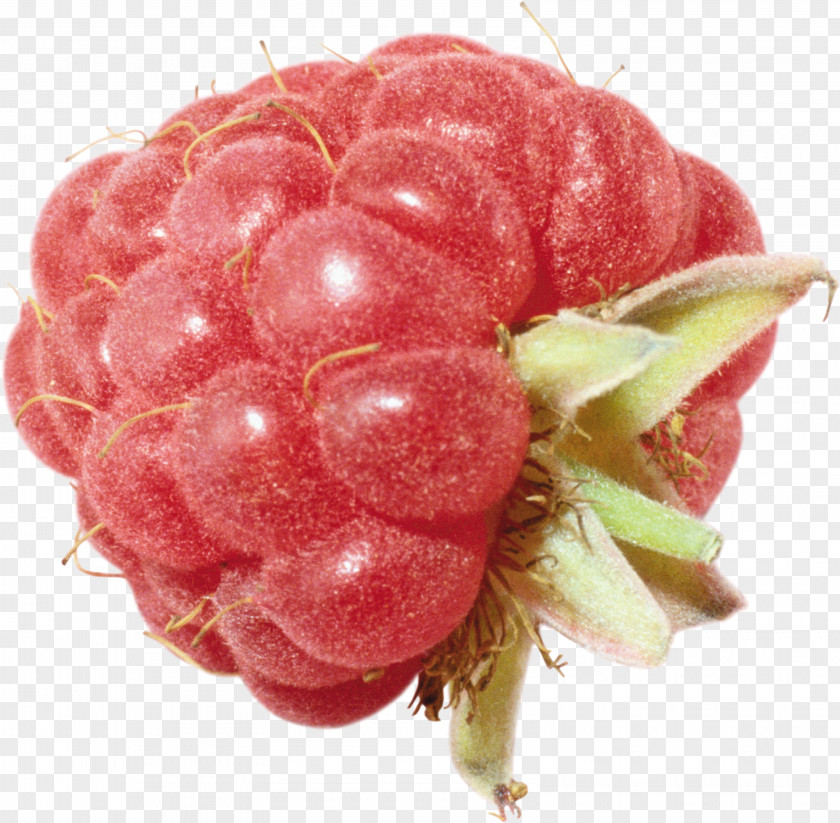 Rraspberry Image Raspberry Stock Photography Clip Art PNG