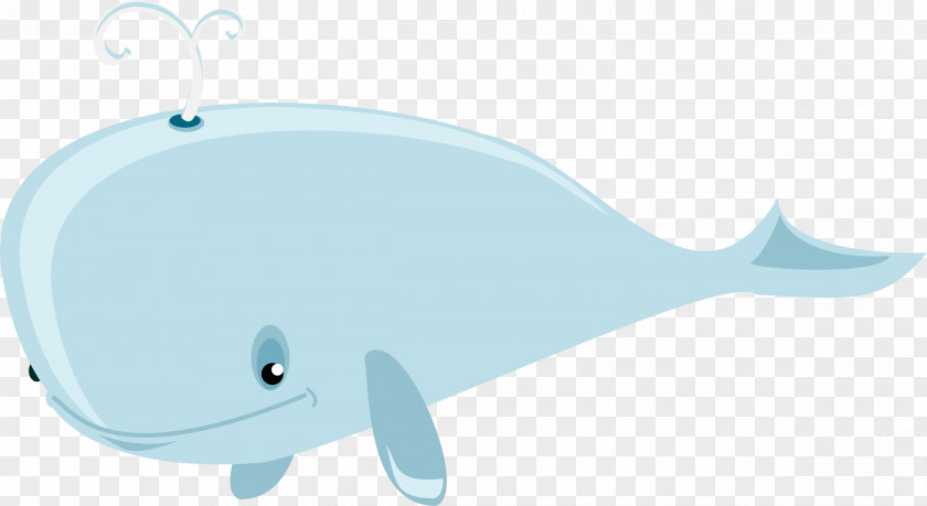 Dolphin Blue Whale Marine Mammal Fish Cetacea PNG