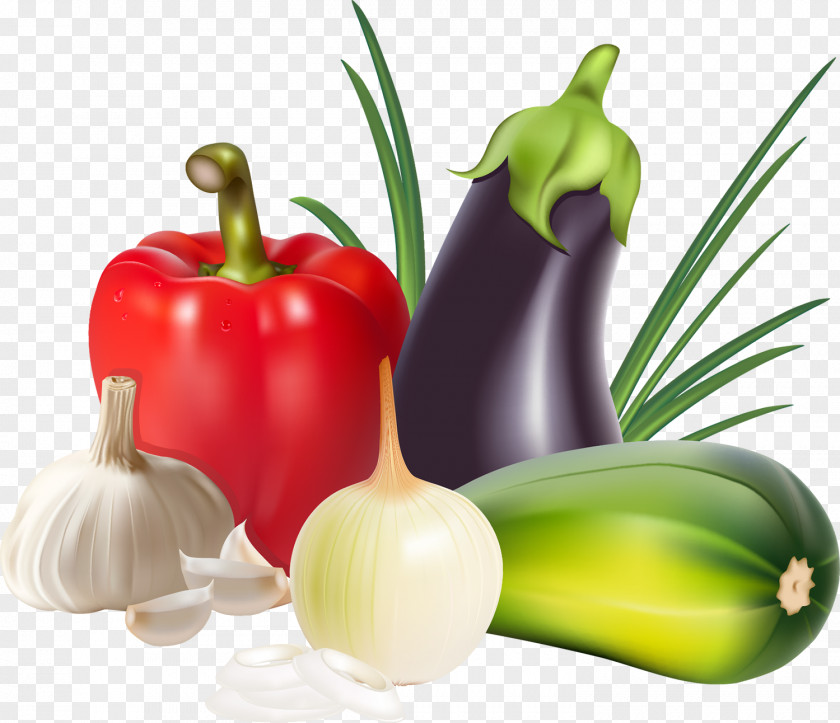 Eggplant Vegetable Onion Chili Pepper Capsicum Paprika PNG