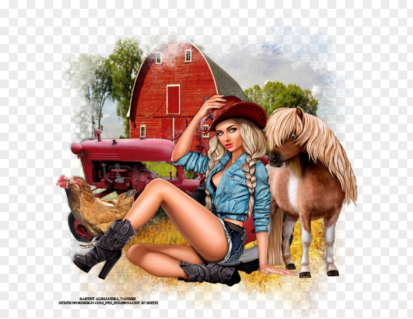 Horse Human Behavior Illustration PNG