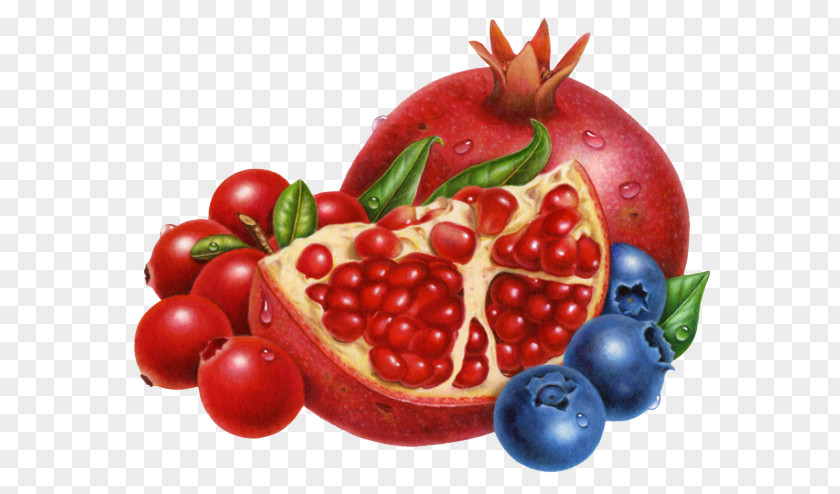 Pomegranate Blueberry Fruit Lantern Frutti Di Bosco Muffin Cranberry Clip Art PNG